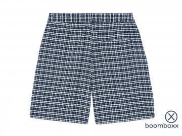 Carhartt wip kander short check blue river i0361963jqxx03 achterkant