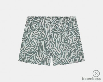 Pockies zebra 2 pack boxers 2gb zeb groen