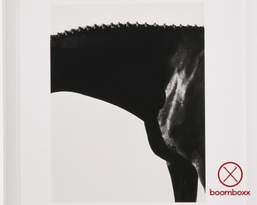 Steven klein book 9781838666132 inside the book 7