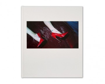 Steven klein book cover 9781838666132